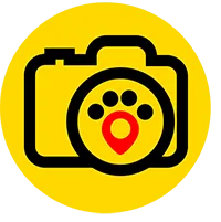 Logo Pateperro