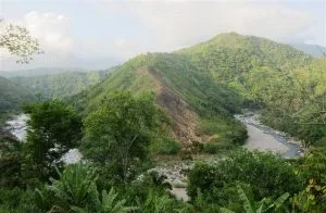 foto del sendero que lleva hacia el oico bonito