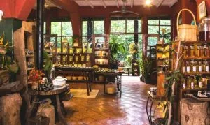 sala con presentaciones de cacao, café, chile, y los productos que ofrece El Lugar del Té & Chocolate