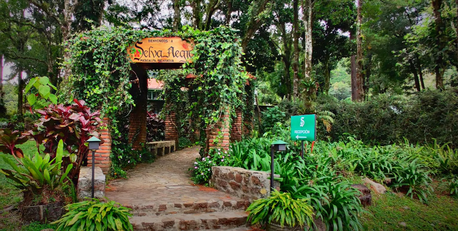 Selva Negra Matagalpa Nicaragua Pateperro 